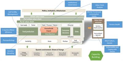 The Role of Indigenous Vegetables to Improve Food and Nutrition Security: Experiences From the Project HORTINLEA in Kenya (2014–2018)